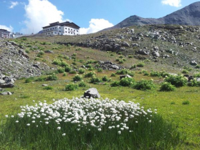  Hotel Folgore  Прато Алло Стелвио